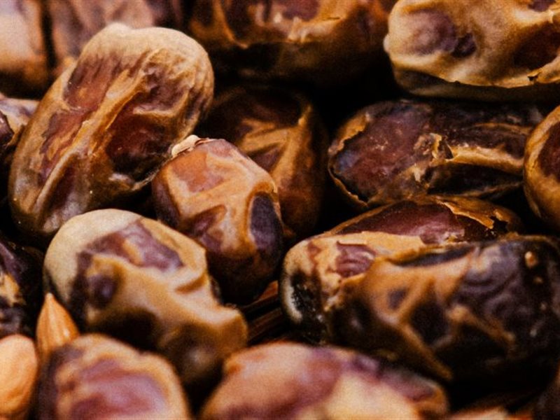 مهرجان الدرعية للتمور لجميع أفراد الأسرة.. تعرّفي على فعالياته