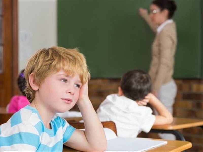 مع عودة المدارس.. قائمة بالأطعمة المفيدة لتعزيز التركيز عند الأطفال