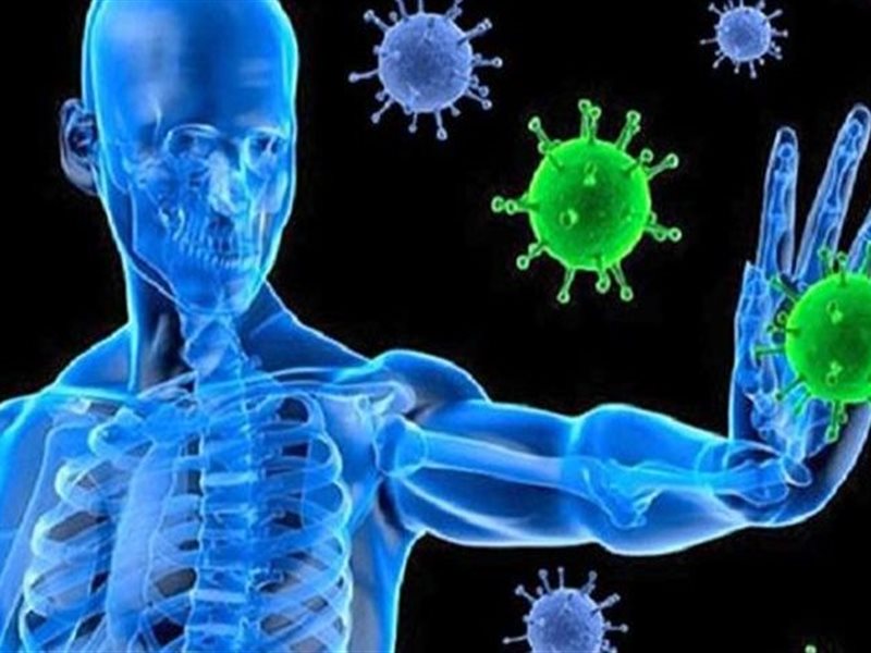 7 أطعمة مفيدة لمحاربة الالتهابات والعدوى.. منها الخضروات الورقية