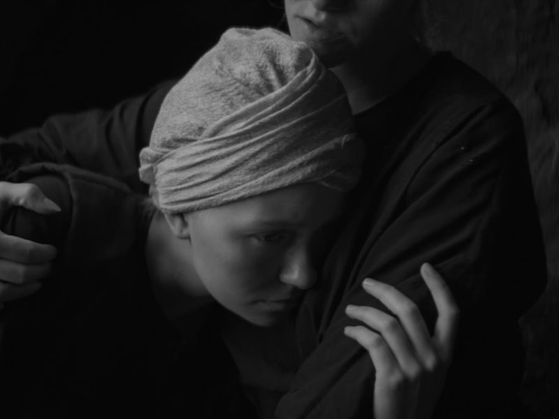 اليوم.. عرض 6 أفلام ضمن برنامج 