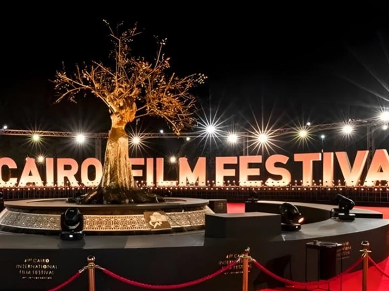 اختار فيلمك.. عروض وأفلام ثالث أيام مهرجان القاهرة السينمائي 