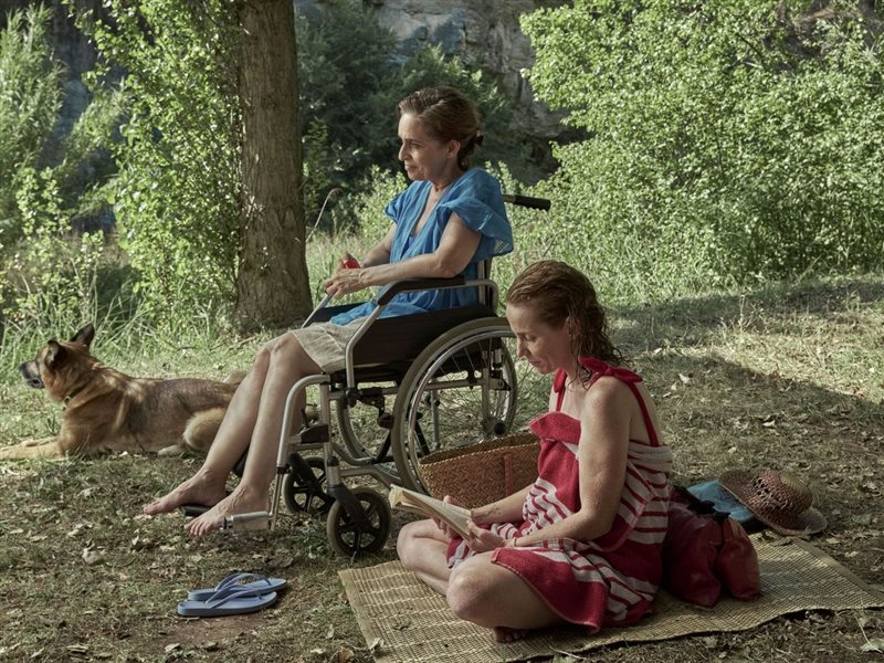  عرض 3 أفلام ضمن البانوراما الدولية بمهرجان القاهرة السينمائي