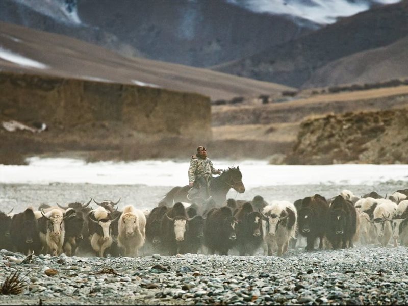 النجم العالمي داركو بيريك يحضر عرض فيلمه 
