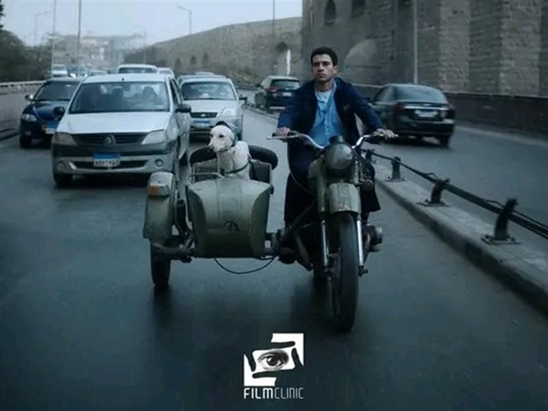 البحث عن منفذ لخروج السيد رامبو ينافس على 