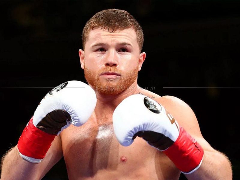 الرياض تشهد مواجهة قوية بين كانيلو ألفاريز ووليام سكل