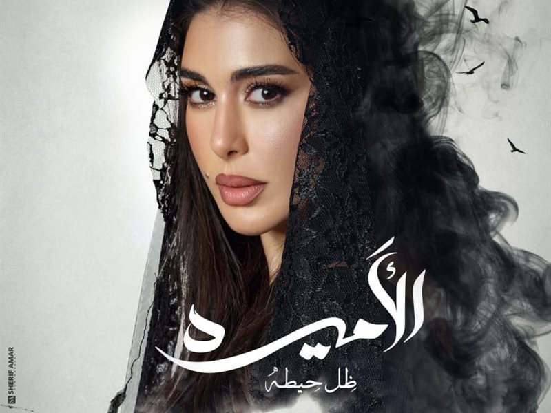 أغنية مسلسل “الأميرة ظل حيطة” تحقق مليون ونصف مشاهدة خلال ساعات 