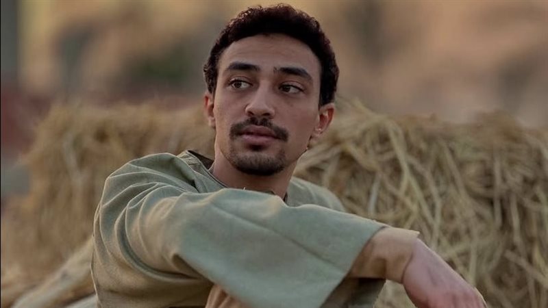 أحمد غزي