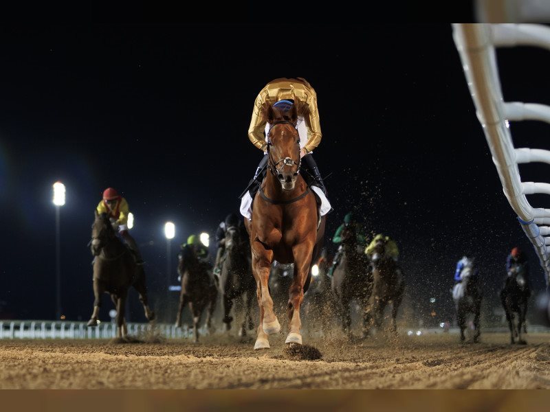 كأس دبي العالمي للخيول 2025 مواجهة عالمية على مضمار المجد في ميدان
