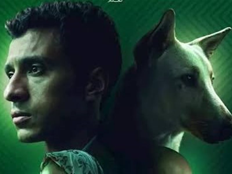 الليلة.. عرض فيلم 