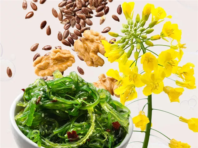 7 مصادر نباتية لأوميجا 3 إذا كنت لا تحب تناول السمك