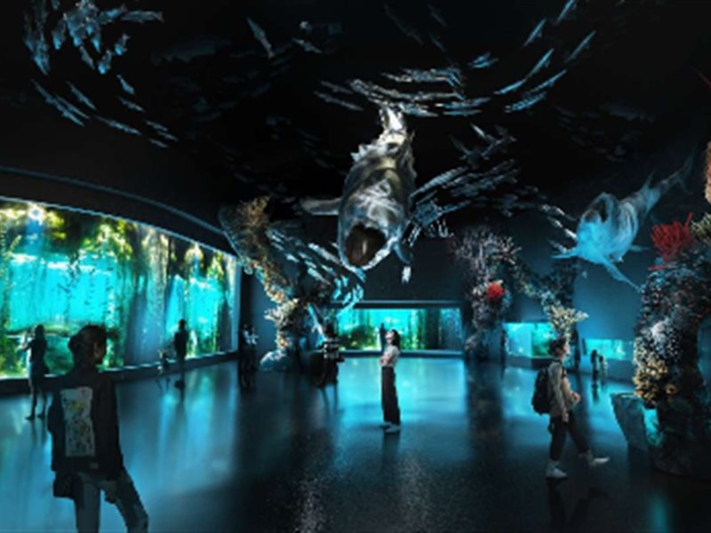 إعادة افتتاح اكثر اكواريوم مبهر في اسيا .. متحف سنغافورة المائي الجديد