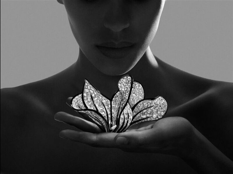  دار Boucheron تكشف عن أحدث مجموعاتها ضمن خط Carte Blanche 