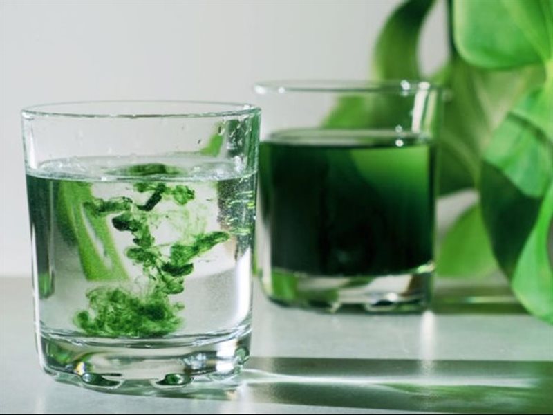 الكلوروفيل في مياه الشرب: موضة رقمية أم فائدة صحية حقيقية؟ 