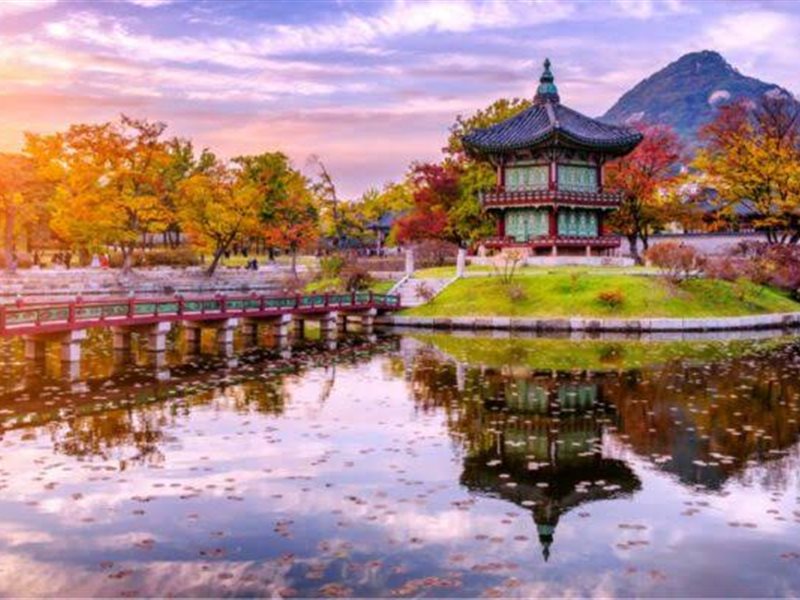 خمس مفاجآت لن تتوقعها قبل زيارتك كوريا الجنوبية 