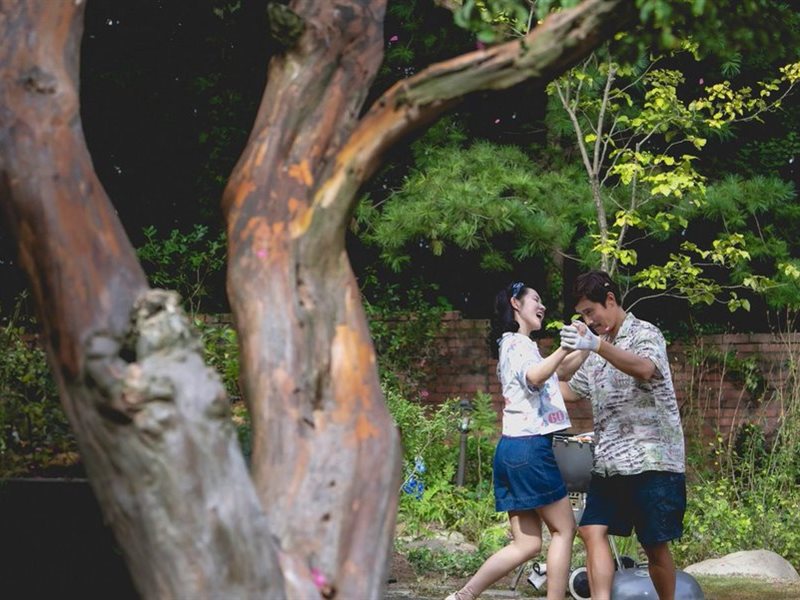 تعرف على قائمة أفلام مهرجان نيويورك السينمائي 2025 