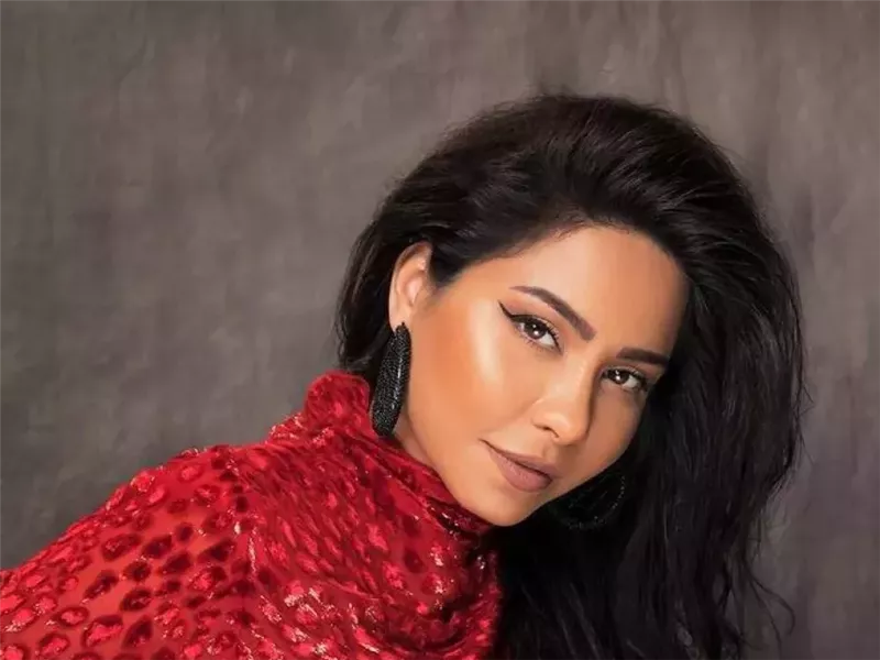 المحامي ياسر قنطوش يعلن انتهاء دوره كمحامي لـ شيرين ويطالب وزير الثقافة بإنقاذها