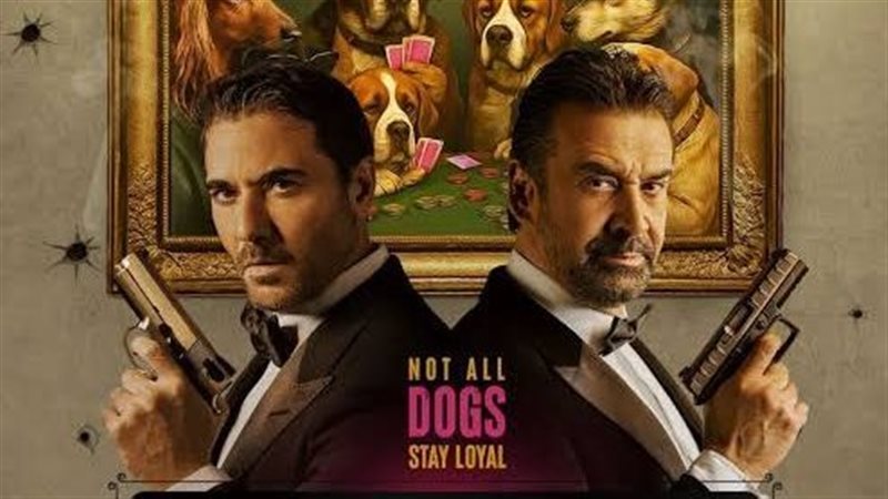 7DOGS