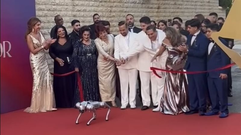 الموركس دور