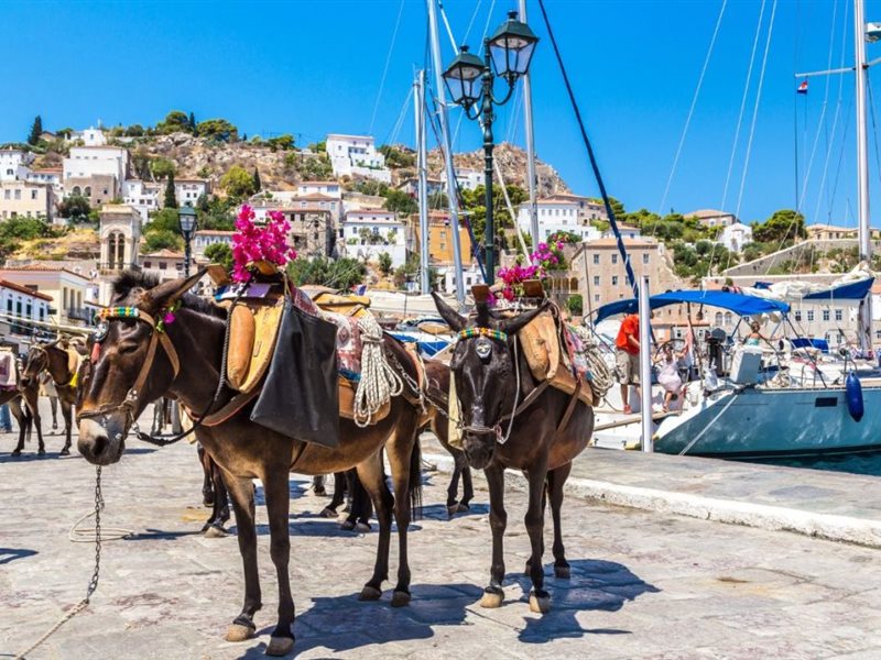 قرية على بعد ساعة ونصف من أثينا .. ممنوع فيها السيارات