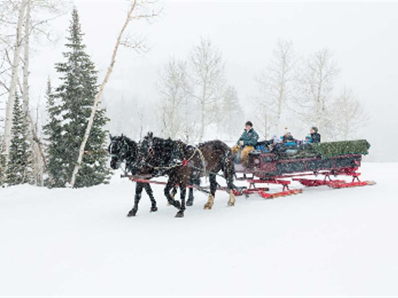 أربع افكار للاستمتاع بإجازتك في يوتا .. أرض العجائب الشتوية الساحرة في اميركا