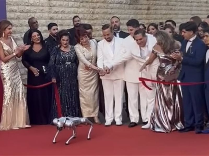 كلب ذكي يفتتح السجادة الحمراء لحفل 