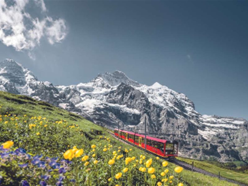 ثلاث من أفضل التجارب في سويسرا