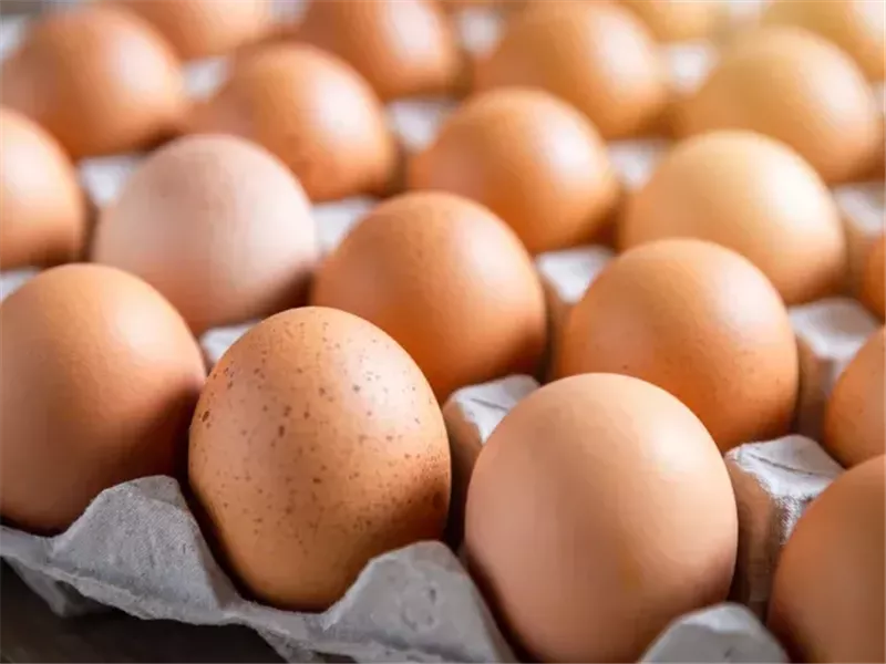 7 أطعمة نباتية تحتوي على بروتين أكثر من البيض