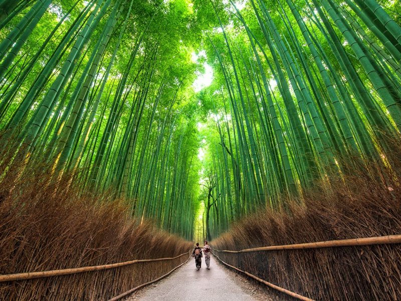 كيوتو .. وجهة شهر العسل الرومانسية اكثر من المالديف