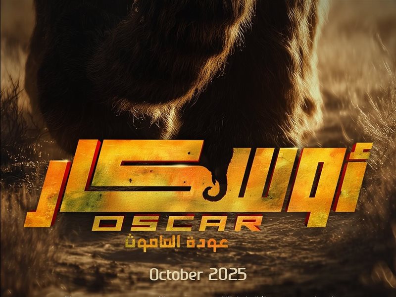 الليلة.. العرض الخاص لفيلم 