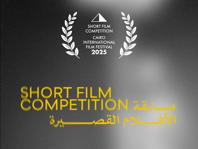 من بينهم تارا عماد.. مهرجان القاهرة السينمائي يكشف عن لجنة تحكيم وأفلام المسابقة القصيرة في دورته الـ46