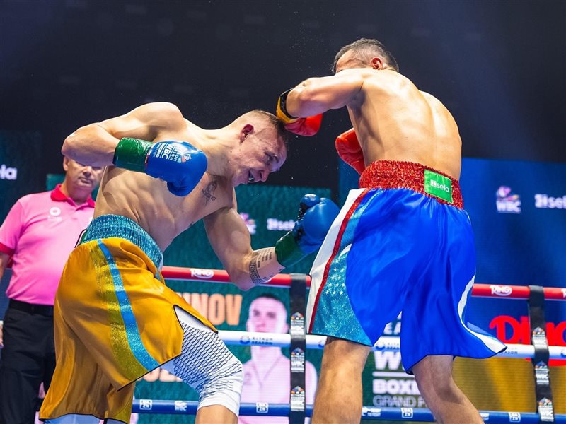  8 ملاكمين يتأهلون إلى نهائيات WBC في الرياض