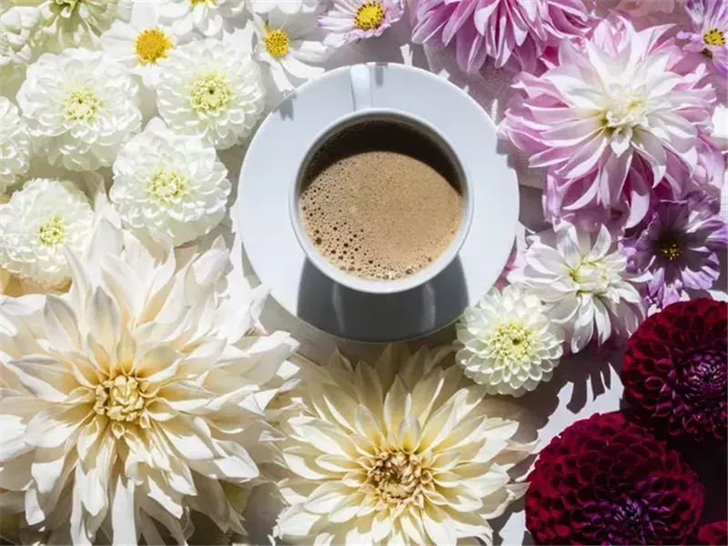 5 طقوس صحية بسيطة قد تجعلك أكثر سعادة