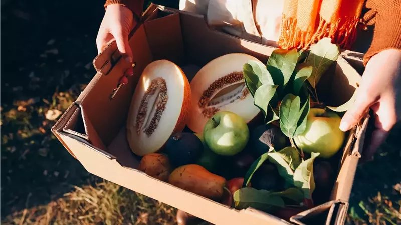 فوائد الكيوي