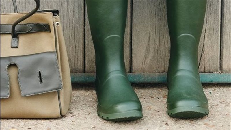 البوت الهجين 