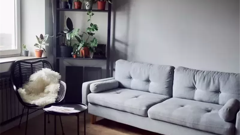 غرفة المعيشة