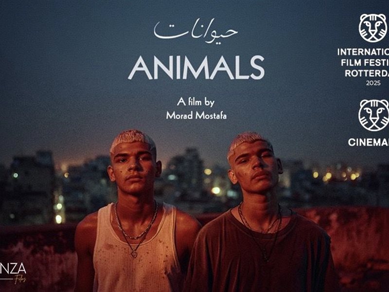 مشاركة فيلم حيوانات في سيني مارت مهرجان روتردام السينمائي