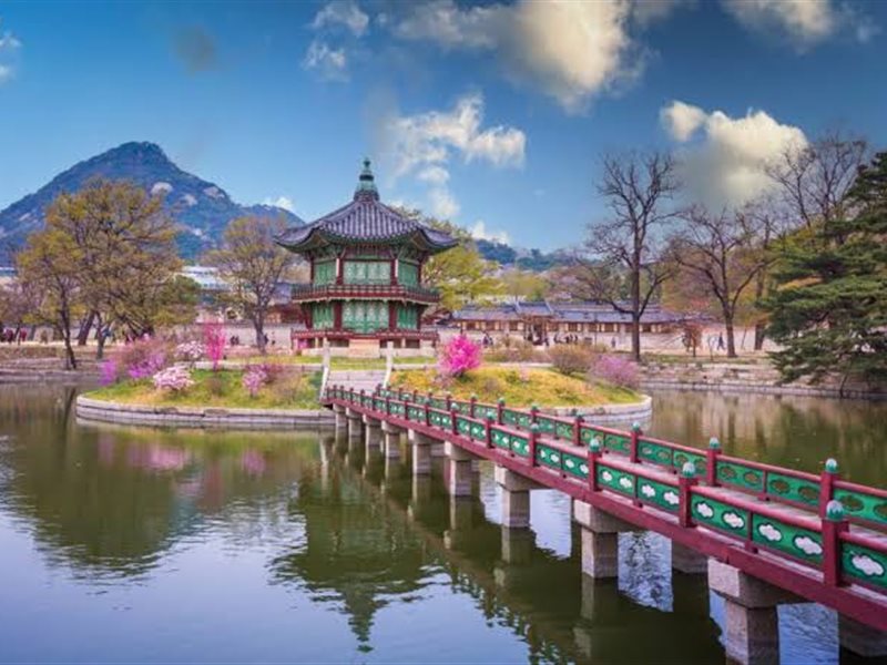 تحذير للسائحين : 4 قوانين كورية غير متوقعة قد تودي بك إلى السجن أو الغرامة!