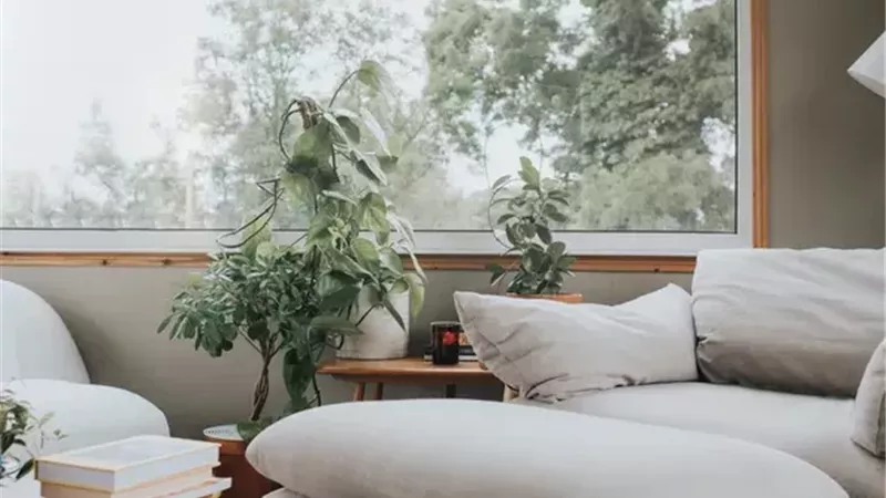 ديكور الشتاء