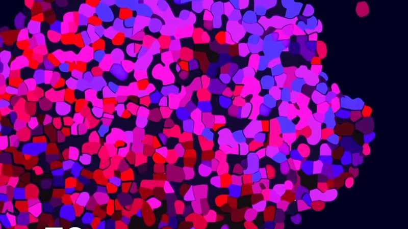 مهرجان برلين 2026