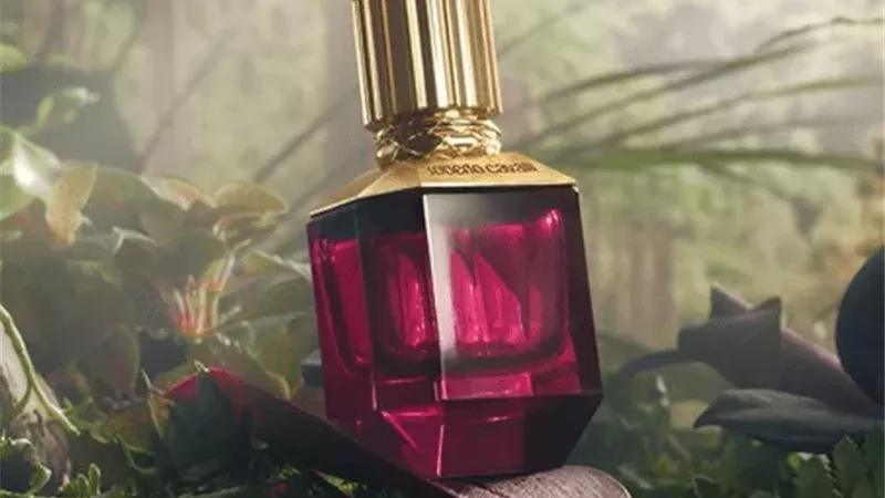 برفانات الشتاء