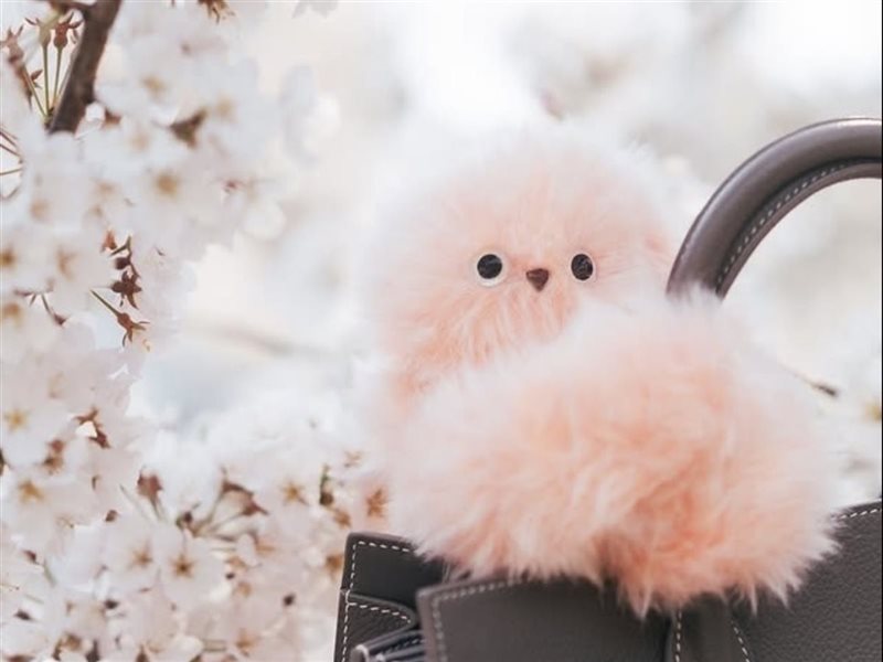 عام جديد وترند مختلف «ميرومي» تتصدر مشهد الإكسسوارات بدلا من لابوبو