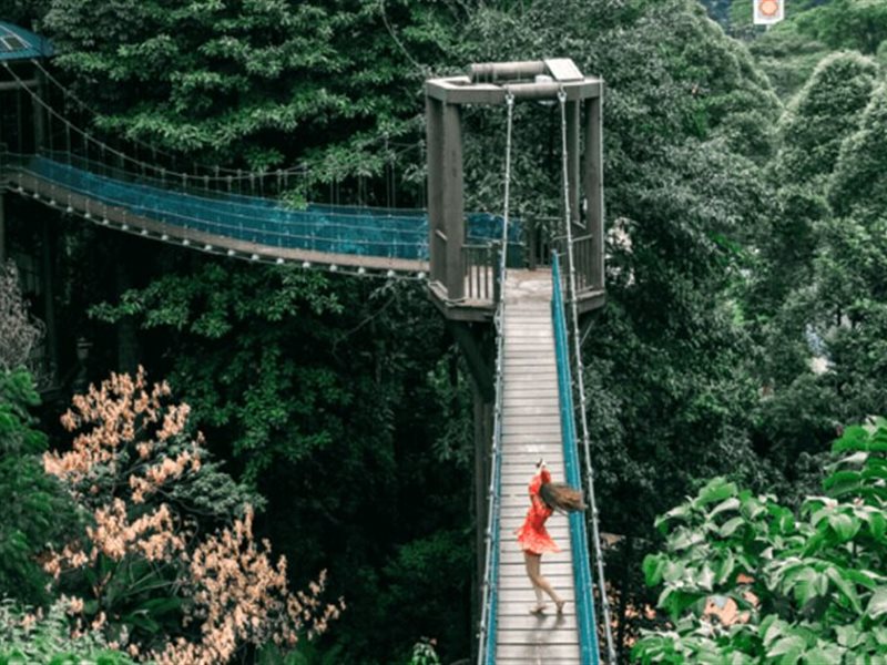  7 جواهر مخفية في كوالالمبور: رحلة إلى ما وراء ناطحات السحاب