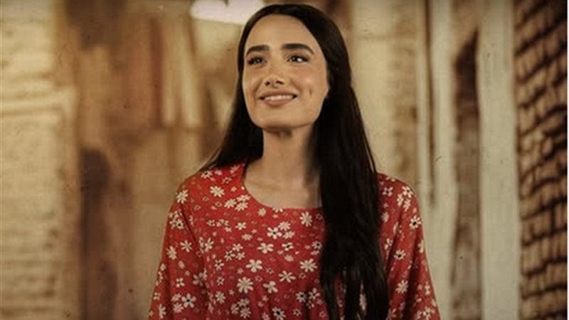 مسلسل حمدية