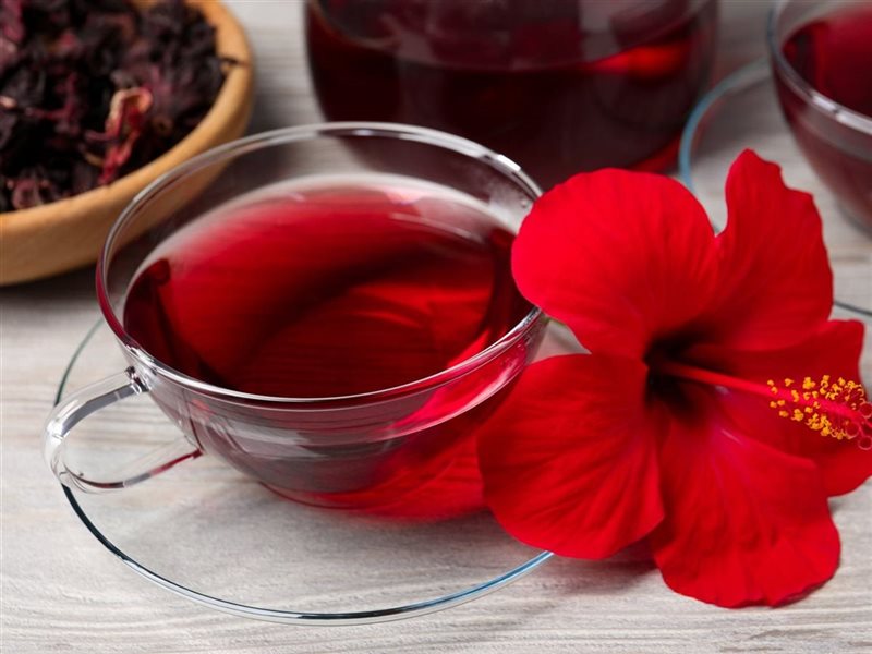 مشروبات رمضان.. فوائد الكركديه وعلاقته بالضغط المرتفع