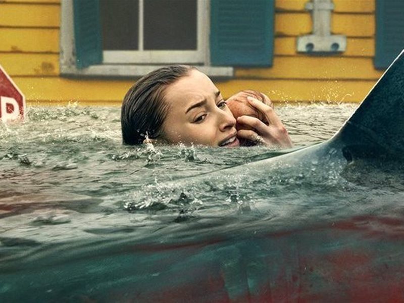 تعرف علي موعد عرض فيلم Thrash على 