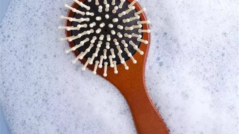 فرشاة الشعر