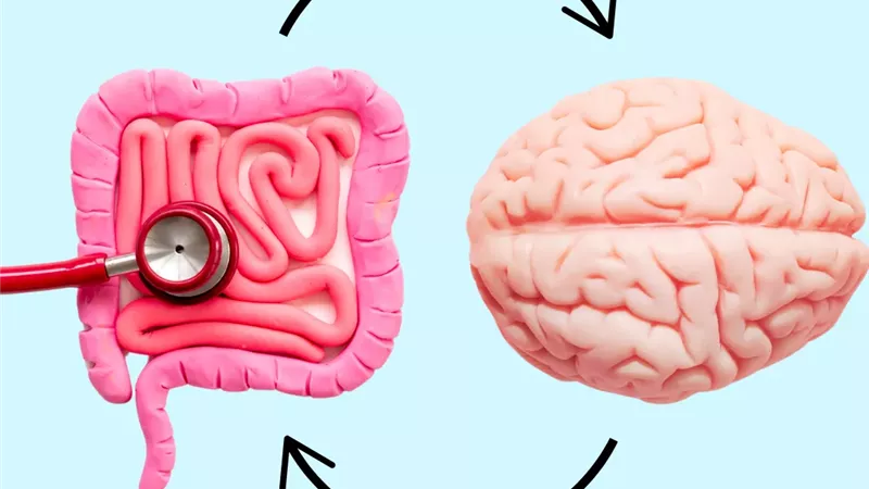 صحة الامعاء