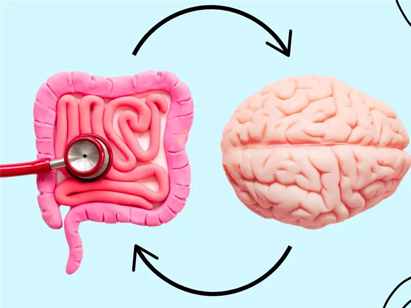 صحة الامعاء