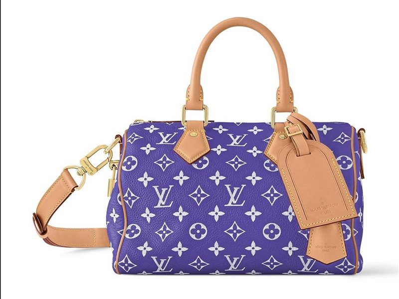 Speedy P9 Calfskin Bag