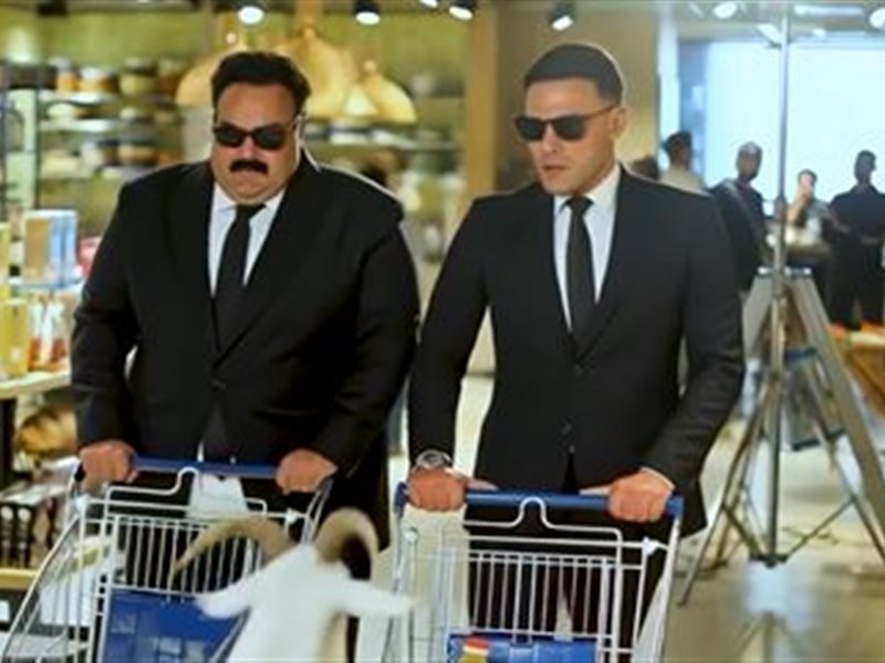 صقر وكناريا